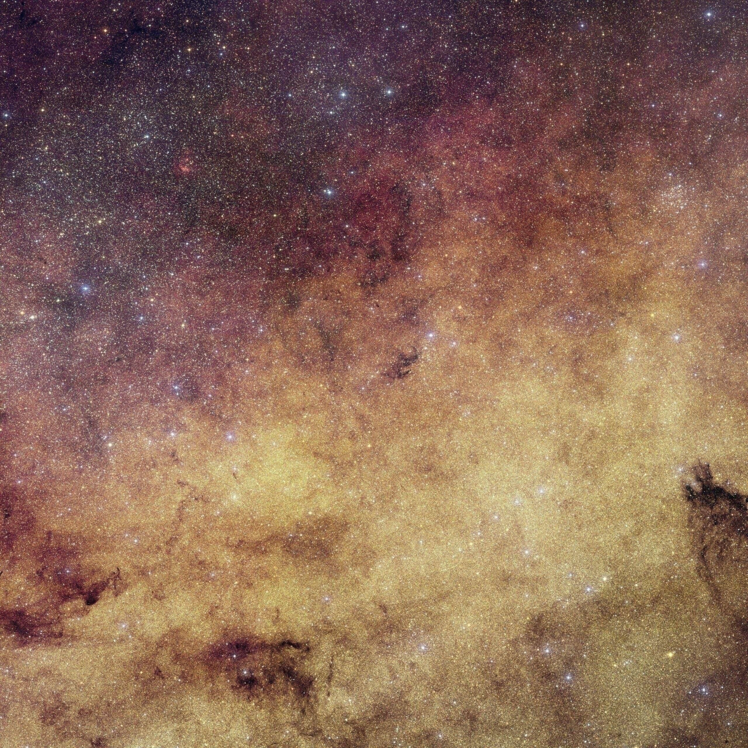 Euclid’s View Of Our Galaxy’s Bulge